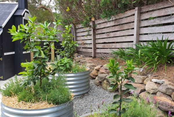 Image Kingspan Garden Beds